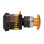 Кнопка AELA-22 желтая с подсветкой NO+NC 220В Грибок EKF PROxima