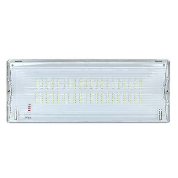 Светильник аварийного освещения SAFEWAY-40P пост. действия LED EKF Proxima